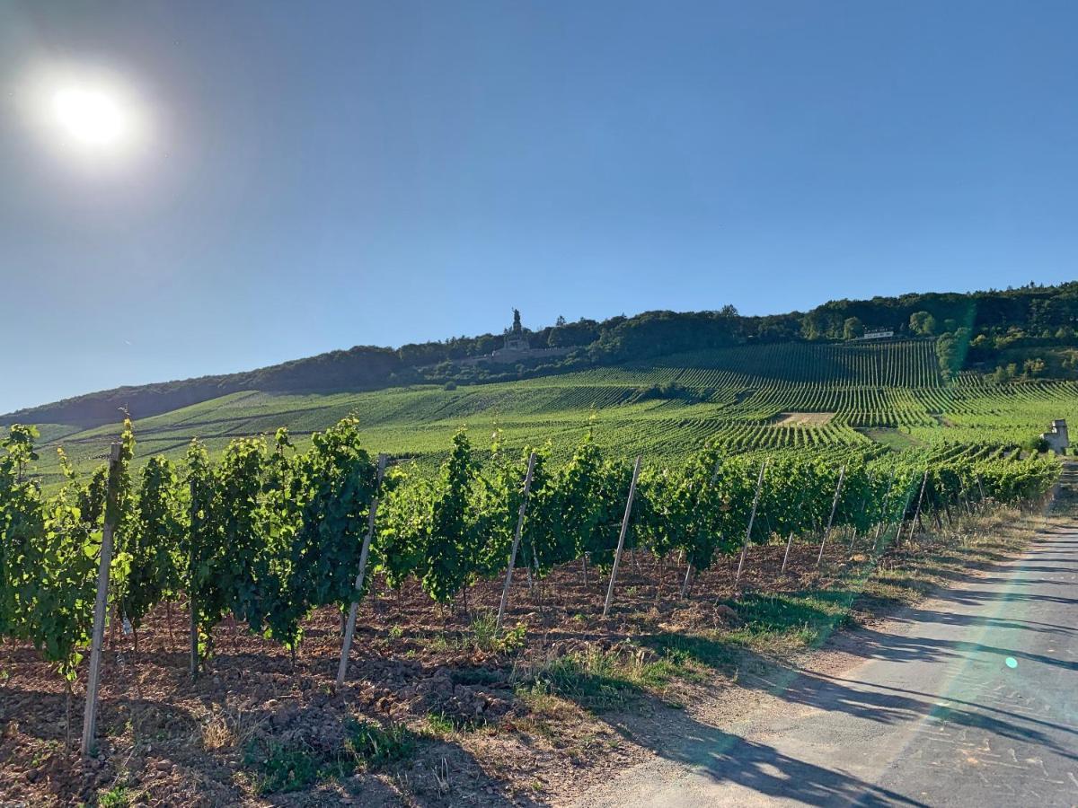 Fewo Zur Goldenen Traube Apartment Rüdesheim am Rhein Exterior foto