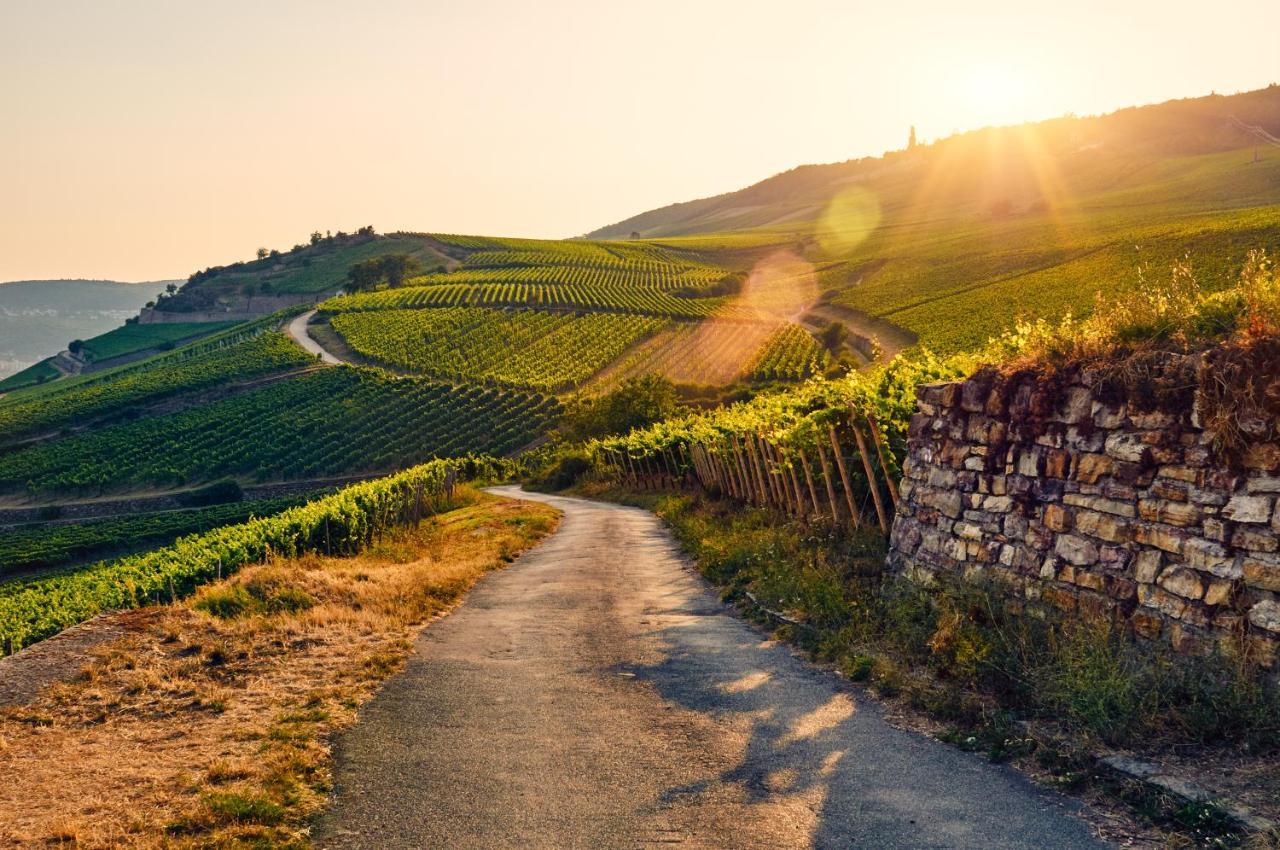 Fewo Zur Goldenen Traube Rüdesheim am Rhein Exterior foto